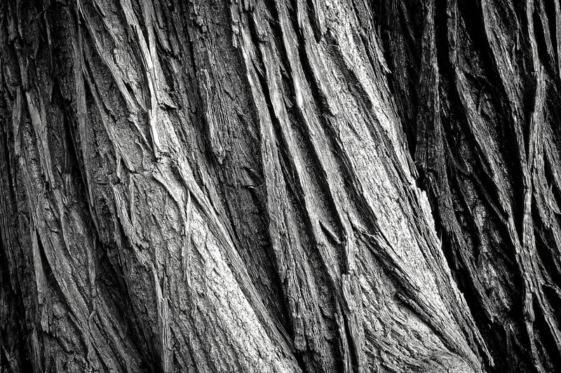Bark-textured Gowns