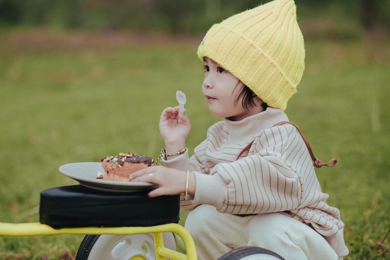 Meadow Picnics